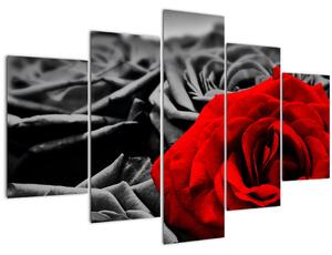 Slika - Cvjetovi ruže (150x105 cm)