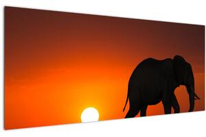 Slika slona u zalasku sunca (120x50 cm)