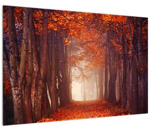 Slika - Jesenska šuma (90x60 cm)