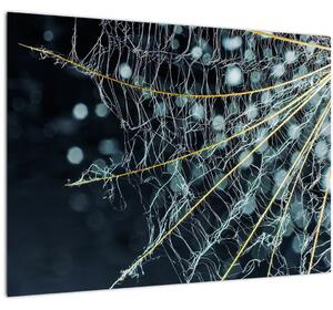Staklena slika - Cvijet s paučinom (70x50 cm)