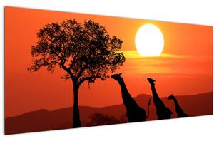 Slika žirafa u zalasku sunca (120x50 cm)