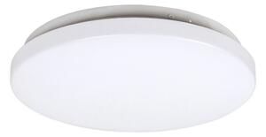 Rabalux 3338 - LED Stropna svjetiljka ROB 1xLED/20W/230V
