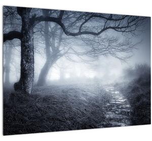 Slika - Put u magli (70x50 cm)