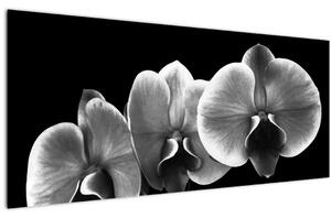Slika cvijeta orhideje (120x50 cm)
