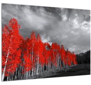 Slika - Drveće u jesenskim bojama (70x50 cm)