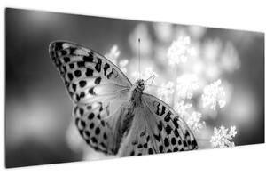 Slika - Detalj leptira koji oprašuje cvijet (120x50 cm)