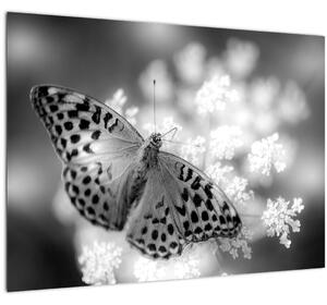 Slika - Detalj leptira koji oprašuje cvijet (70x50 cm)