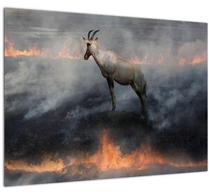 Slika divokoze u plamenu (70x50 cm)