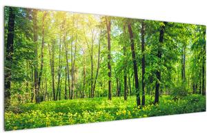 Slika - Proljetna listopadna šuma (120x50 cm)