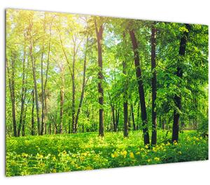 Slika - Proljetna listopadna šuma (90x60 cm)
