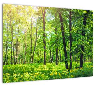 Slika - Proljetna listopadna šuma (70x50 cm)