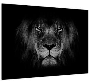 Slika - Veličanstveni lav (70x50 cm)