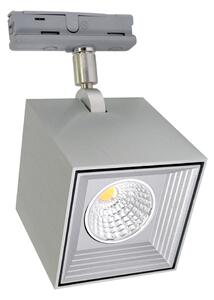 LED Stropna svjetiljka DAU SPOT MONOFASE LED/10W/230V