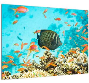 Staklena slika podmorskog svijeta (70x50 cm)