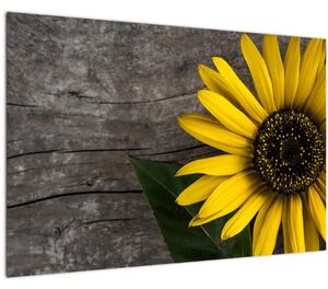 Slika - Cvijet suncokreta (90x60 cm)