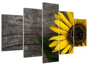 Slika - Cvijet suncokreta (150x105 cm)