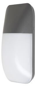 Rabalux 7996 - LED Vanjska Zidna svjetiljka ECUADOR LED/10W/230V IP65 800lm 4000K