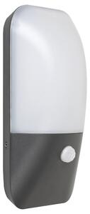 Rabalux 7997 - LED Vanjska Zidna svjetiljka sa senzorom ECUADOR LED/11W/230V IP54 800lm 4000K