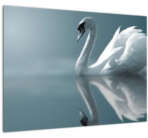 Slika - Bijeli labud (70x50 cm)
