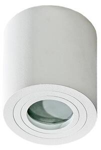 Azzardo AZ2690 - Stropna svjetiljka za kupaonicu BRANT 1xGU10/50W/230V IP44