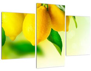Slika limuna (90x60 cm)