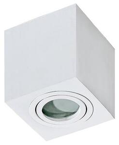 Azzardo AZ2822 - Stropna svjetiljka za kupaonicu BRANT 1xGU10/50W/230V IP44