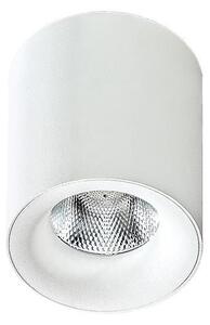 Azzardo AZ2845 - LED Stropna svjetiljka MANE 1xLED/10W/230V
