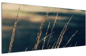 Slika trava (120x50 cm)