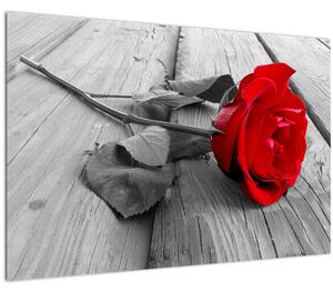 Slika crvene ruže (90x60 cm)