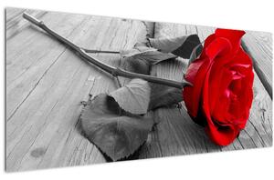 Slika crvene ruže (120x50 cm)