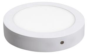Rabalux 2655 - LED Stropna svjetiljka LOIS LED/12W/230V