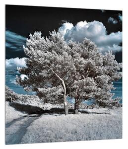 Slika snježnobijelog stabla (30x30 cm)