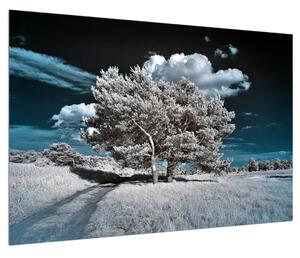 Slika snježnobijelog stabla (90x60 cm)