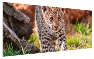 Slika malog geparda (120x50 cm)