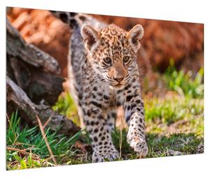 Slika malog geparda (90x60 cm)
