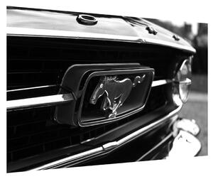 Detaljna slika automobila Mustang (90x60 cm)
