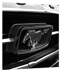 Detaljna slika automobila Mustang (30x30 cm)