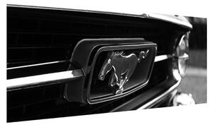 Detaljna slika automobila Mustang (120x50 cm)