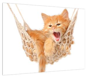 Slika mačke u mreži (70x50 cm)