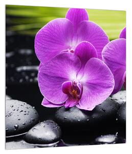 Slika orhideja (30x30 cm)