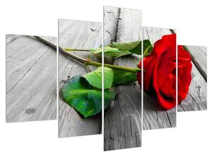 Slika crvene ruže (150x105 cm)