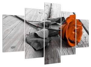 Slika narančaste ruže (150x105 cm)