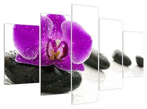Slika orhideje (150x105 cm)