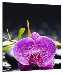 Slika orhideje (30x30 cm)