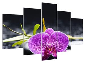 Slika orhideje (150x105 cm)