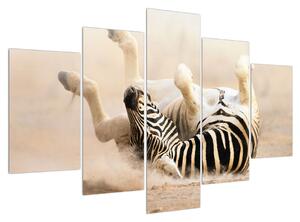 Slika ležeće zebre (150x105 cm)