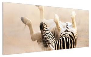 Slika ležeće zebre (120x50 cm)