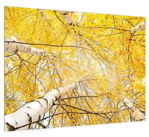 Slika breze (70x50 cm)