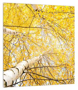 Slika breze (30x30 cm)