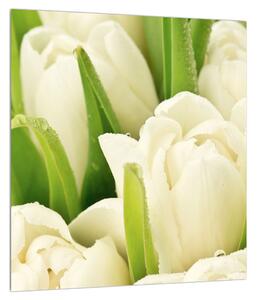 Slika cvjetova tulipana (30x30 cm)